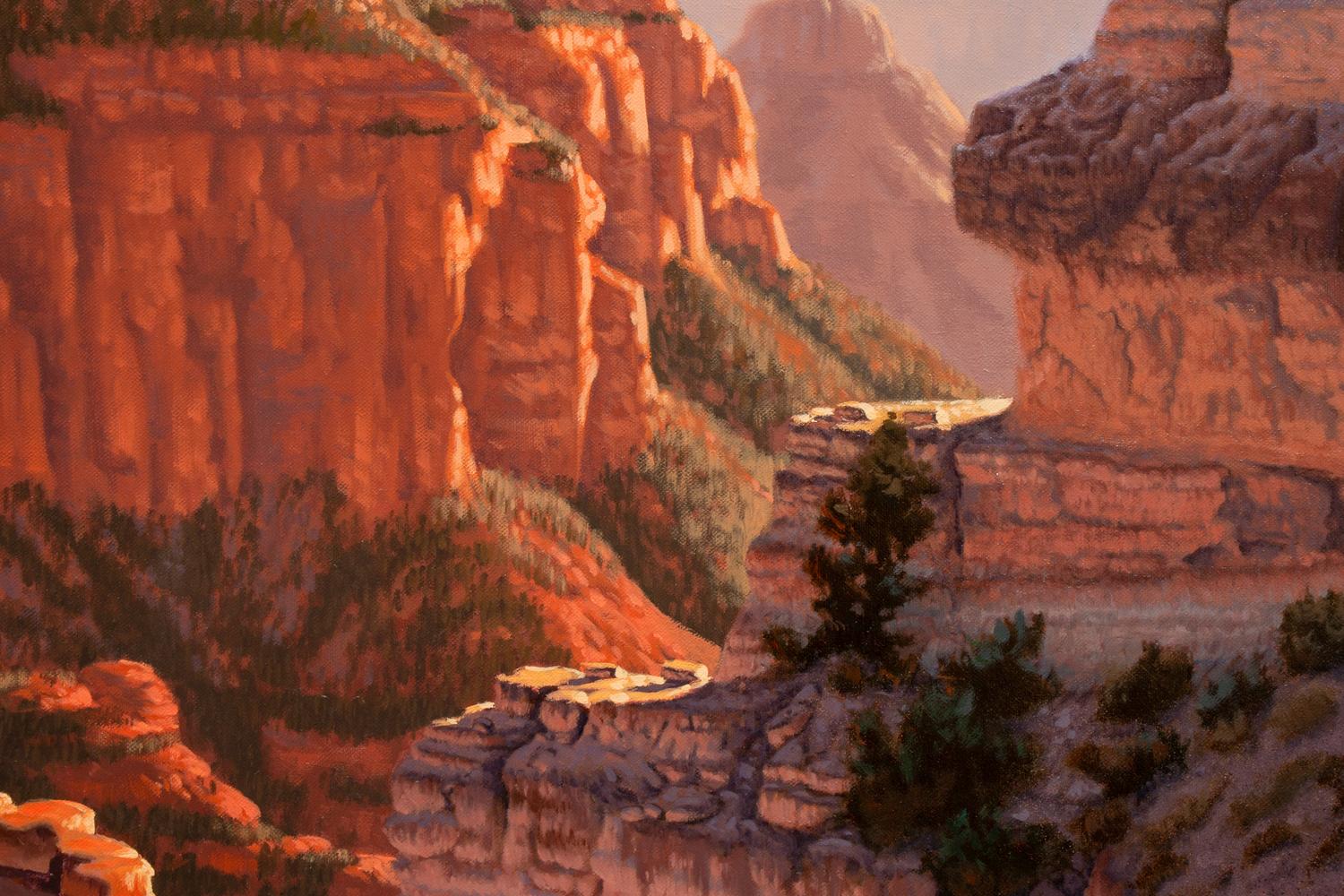 Afternoon at Cape Royale, North Rim