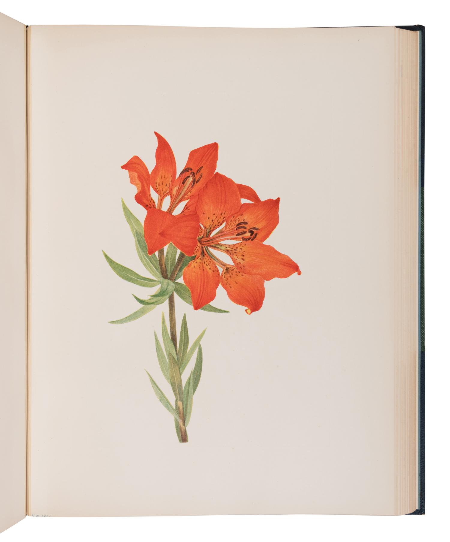 WALCOTT, Mary Vaux (1860-1940). North American Wild Flowers . Washington: Smithsonian Institute, 1925 [-1928].