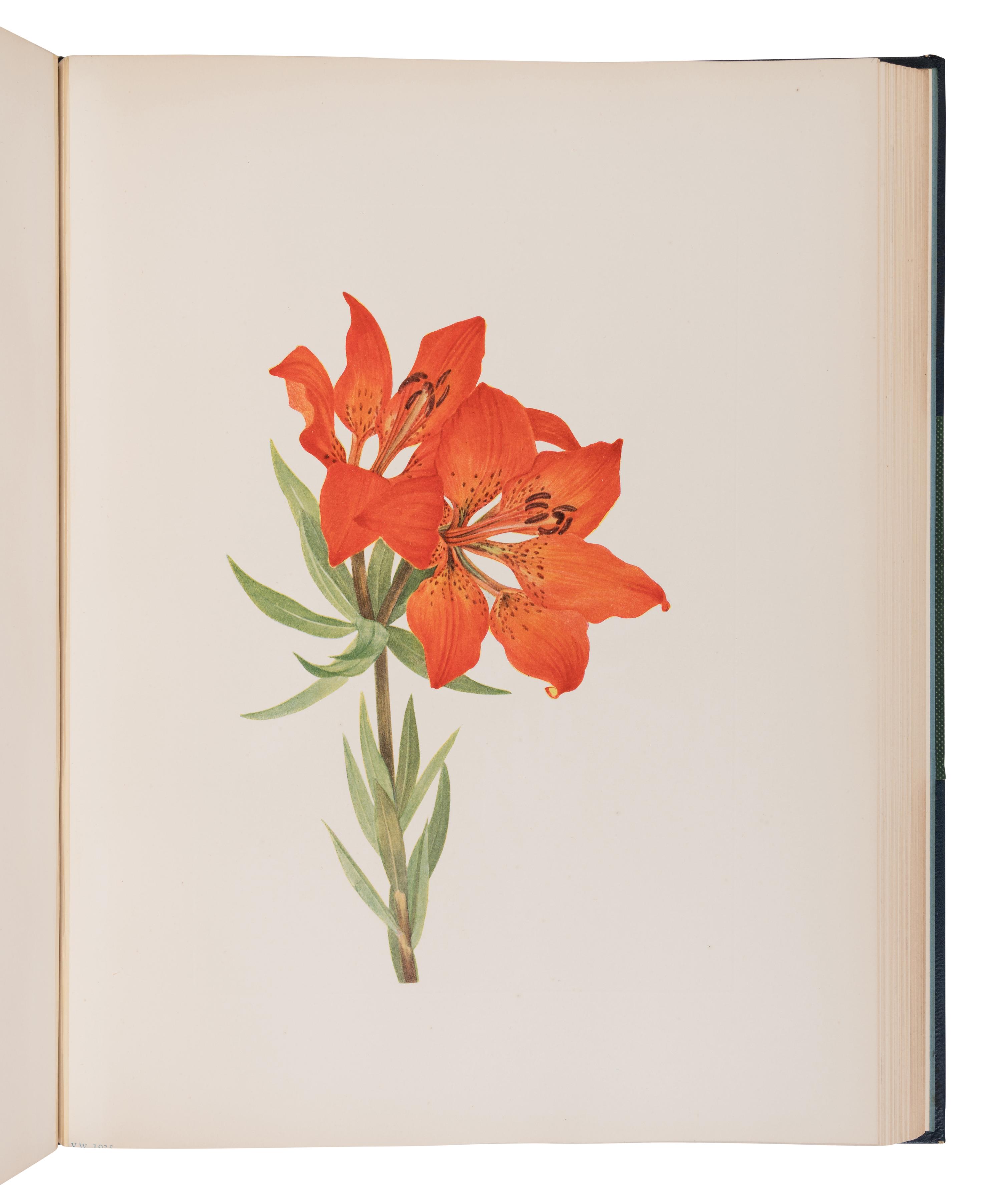 WALCOTT, Mary Vaux (1860-1940). North American Wild Flowers . Washington: Smithsonian Institute, 1925 [-1928].