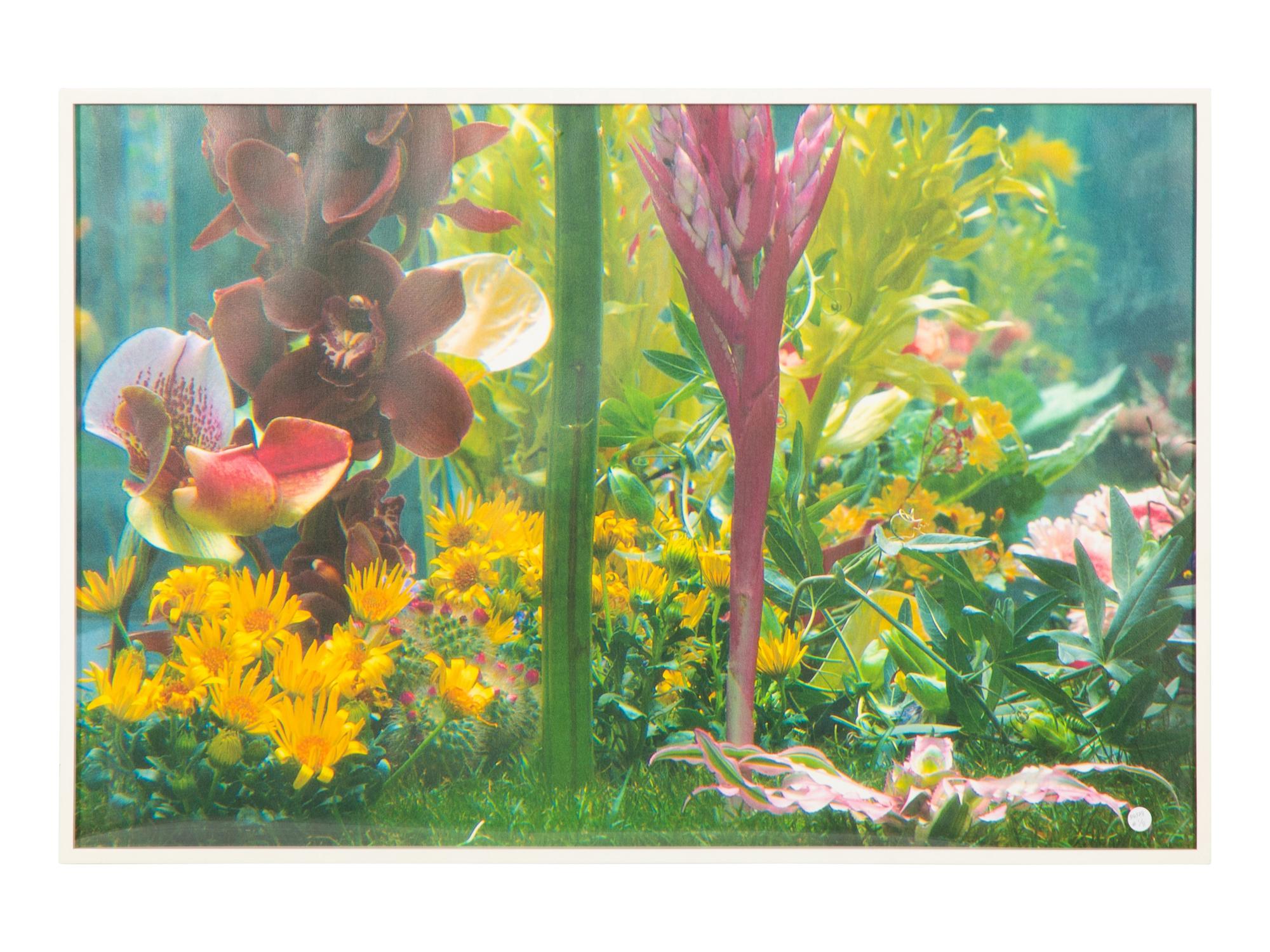 Garden² (complete portfolio of 8), 2000