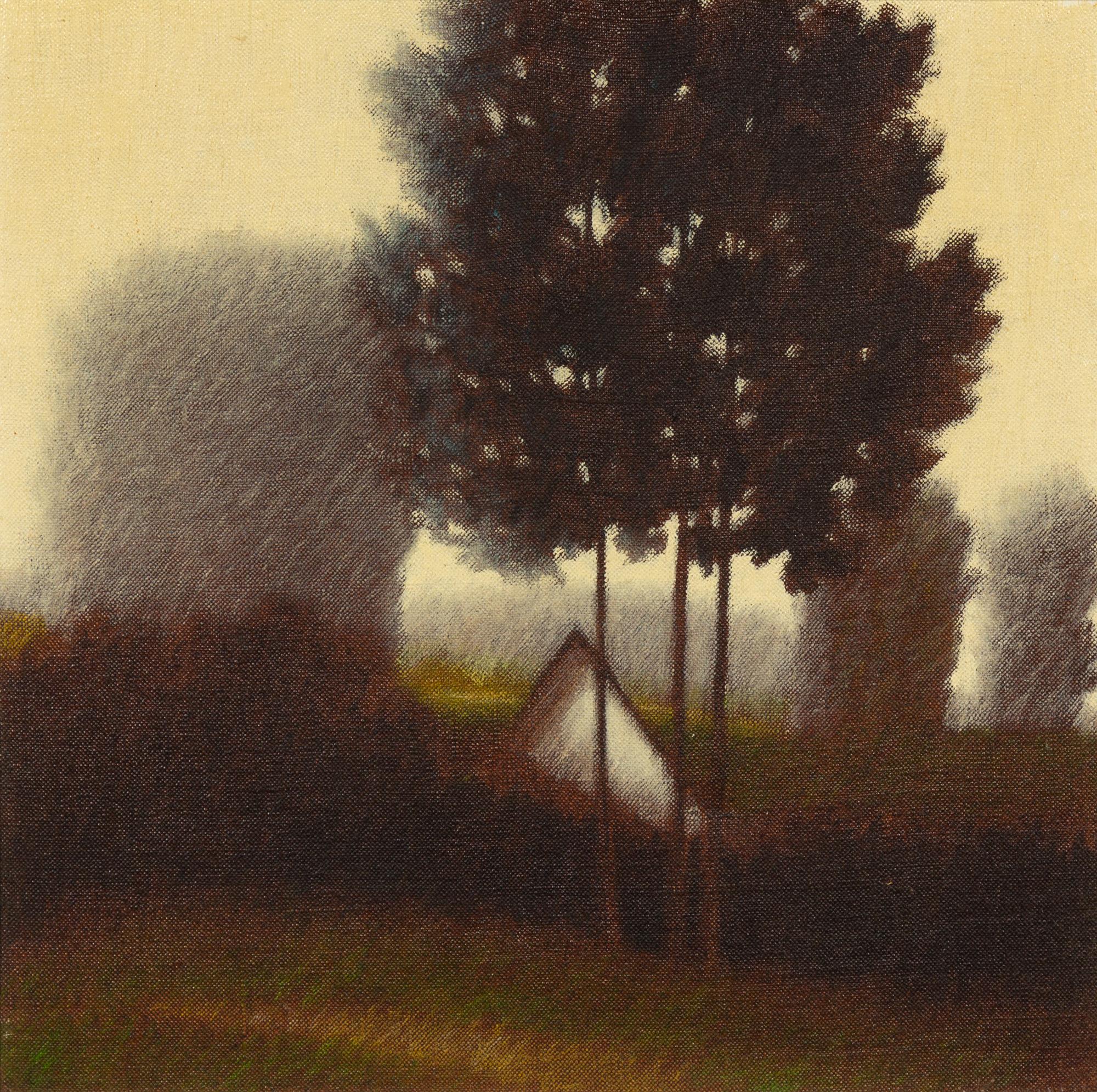 Shady Landscape