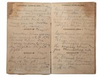 [CIVIL WAR]. Diary of Assistant Surgeon Robert P. Davis, 84th Indiana Regiment.