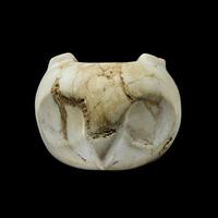 A Costa Rican Marble Mace Head of an Owl