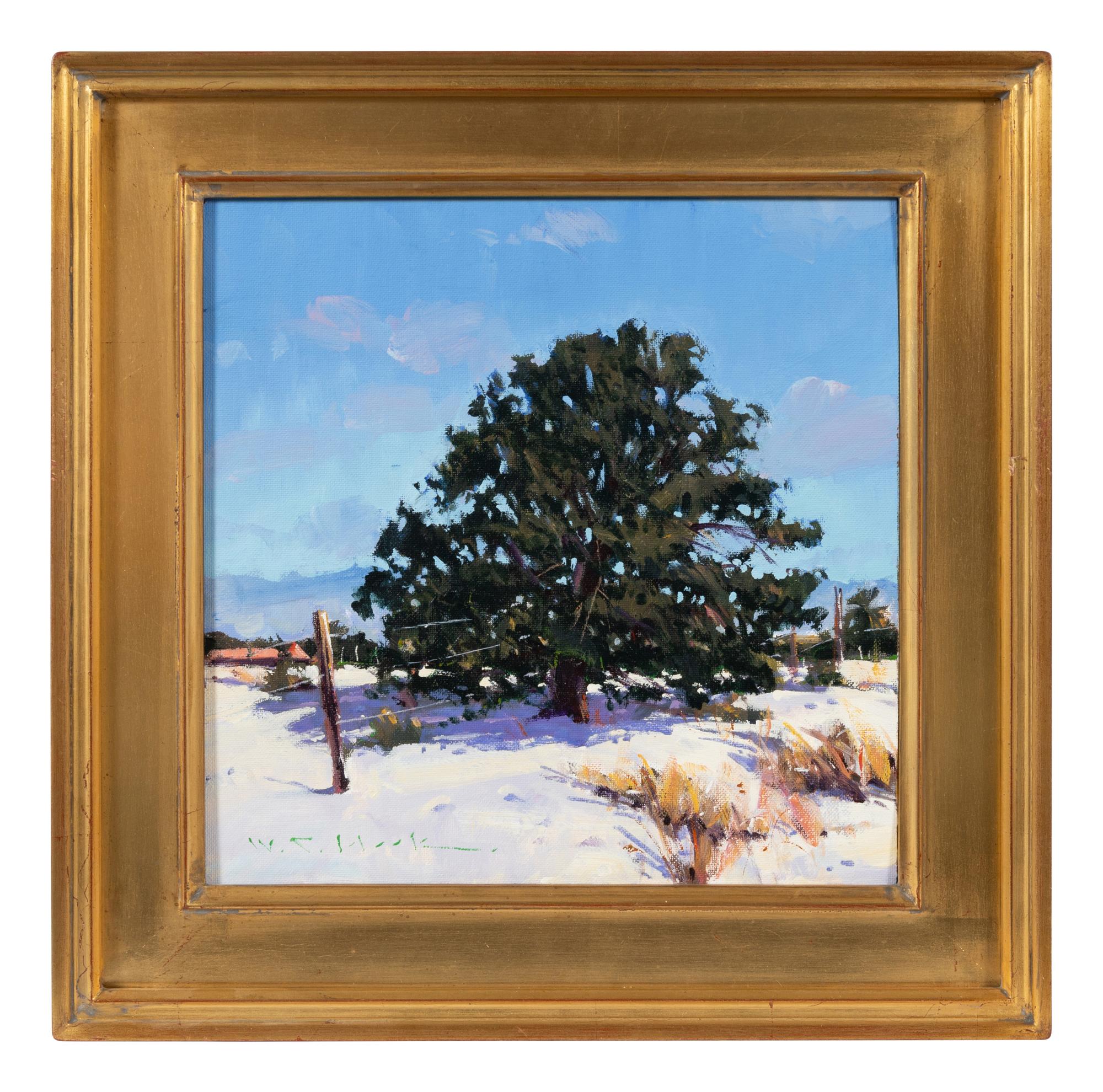 Winter Piñon , 1995