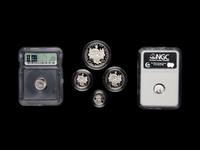 A Group of Six Platinum Eagle Proof and Mint Coins