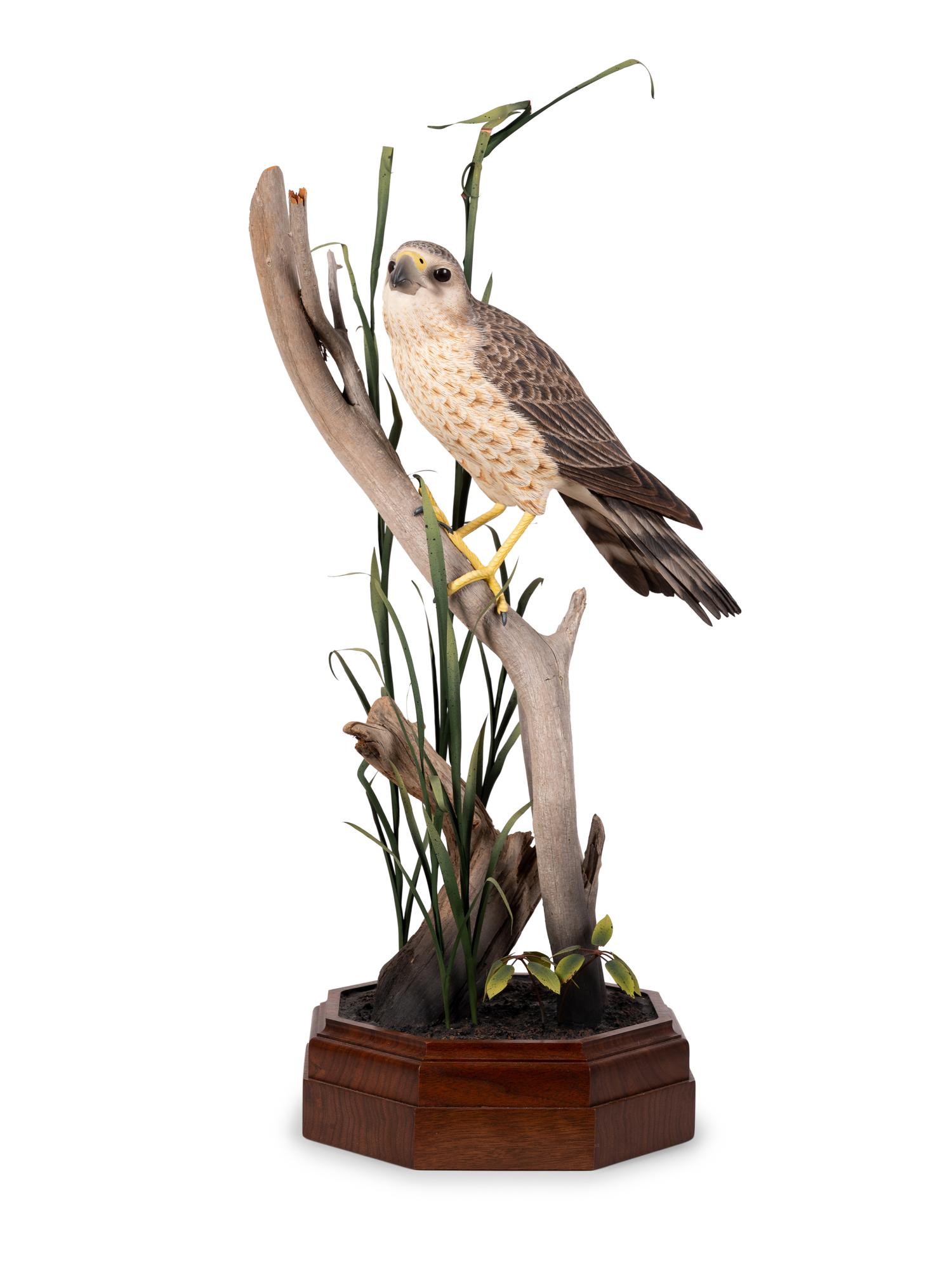 Bird on Branch