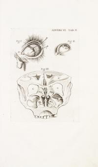 (ANATOMY) MORGAGNI, GIOVANNI BATTISTA. Adversaria anatomica omnia... Venice, 1762. Six parts in one, bound with Epistolae...