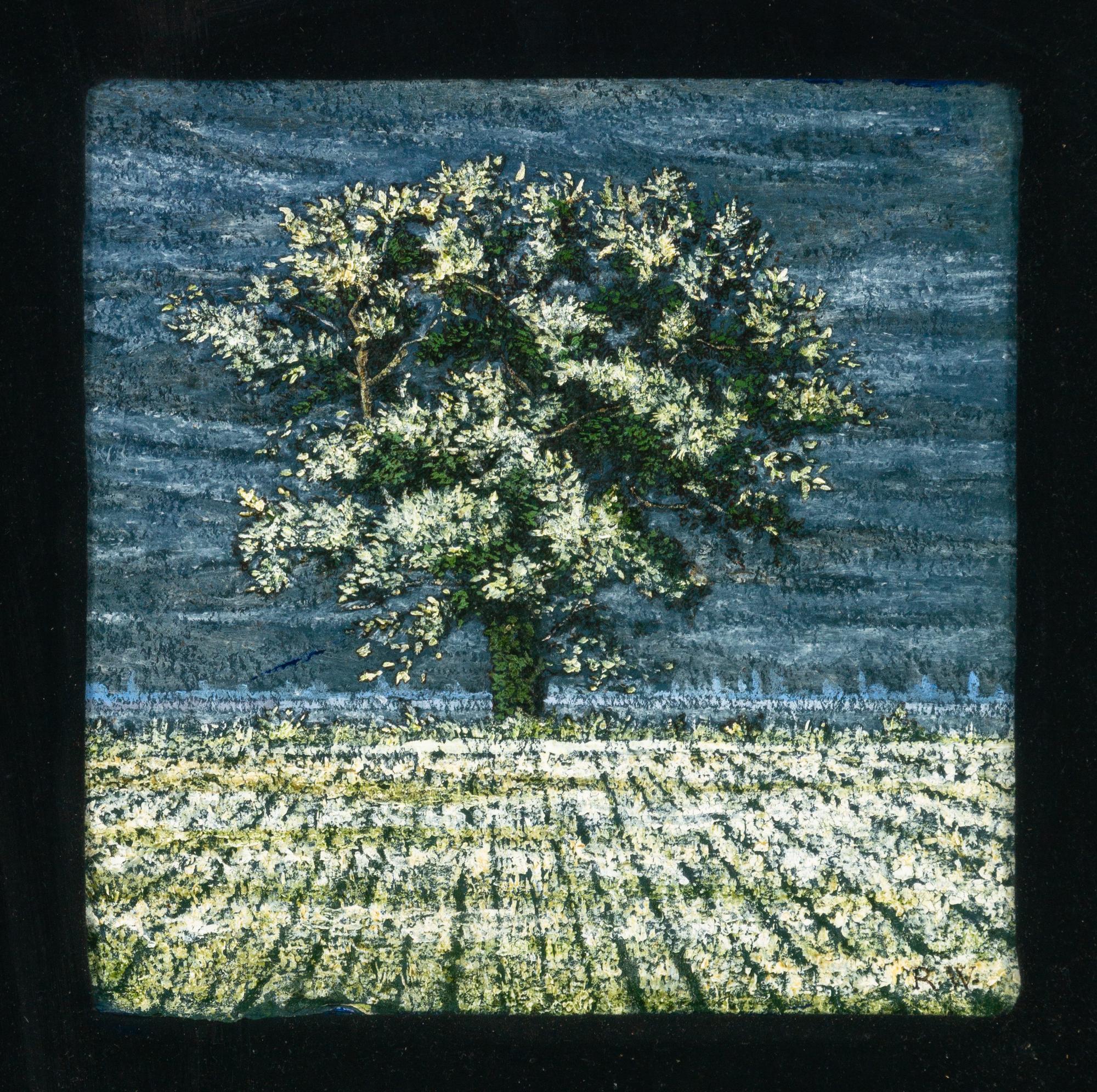 Oak Tree at Snape , 2000