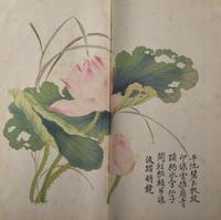 [Lithograph] Manual of the Mustard Seed Garden. Shanghai: Youzheng Shu Ju Press, 1934 — 民廿三（1934）有正書局石印版《初印芥子園畫譜三集》一函