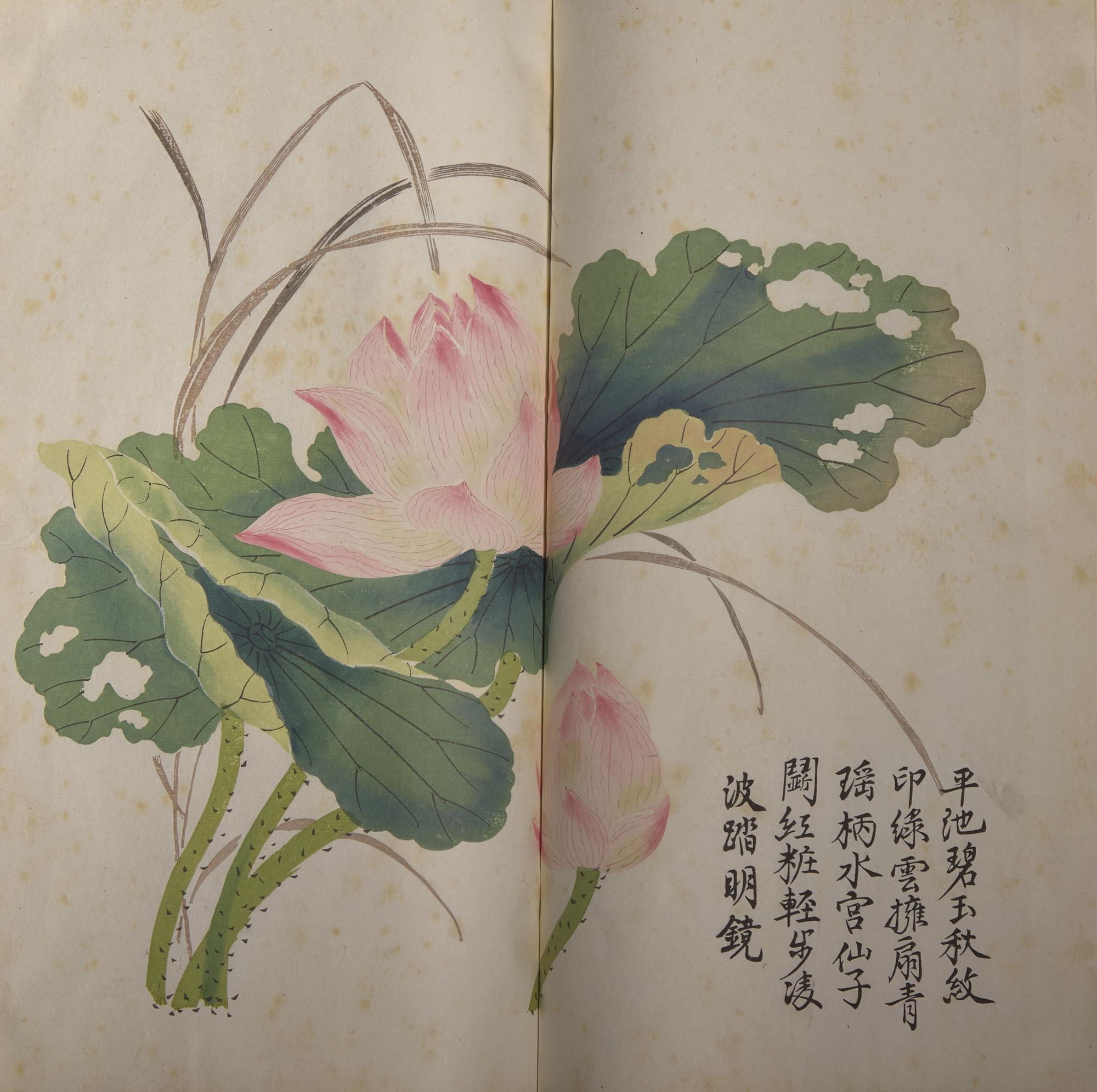 [Lithograph] Manual of the Mustard Seed Garden. Shanghai: Youzheng Shu Ju Press, 1934 — 民廿三（1934）有正書局石印版《初印芥子園畫譜三集》一函