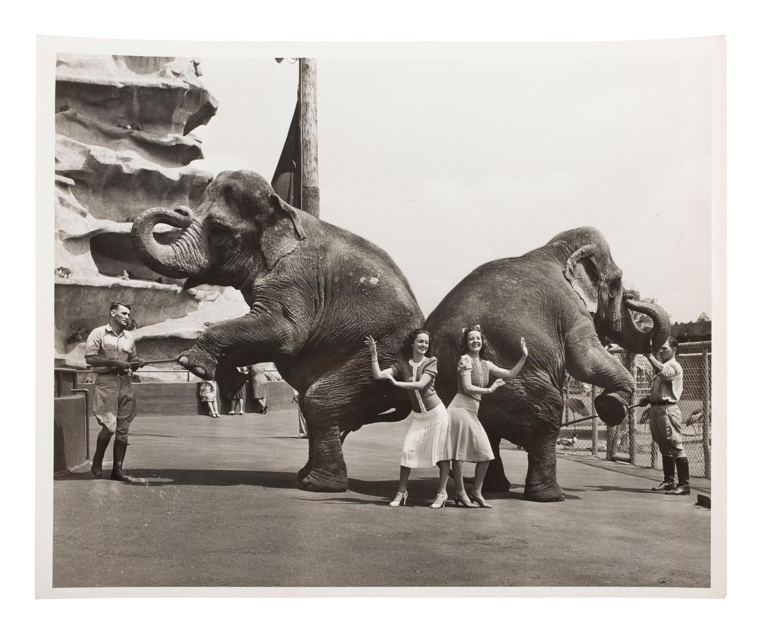 [PHOTOGRAPHY] 19 press photos documenting the 1940 NY World's Fair with additional prints of the era
