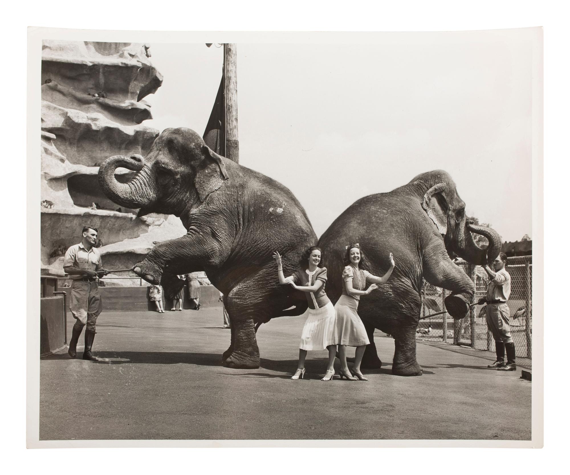 [PHOTOGRAPHY] 19 press photos documenting the 1940 NY World's Fair with additional prints of the era