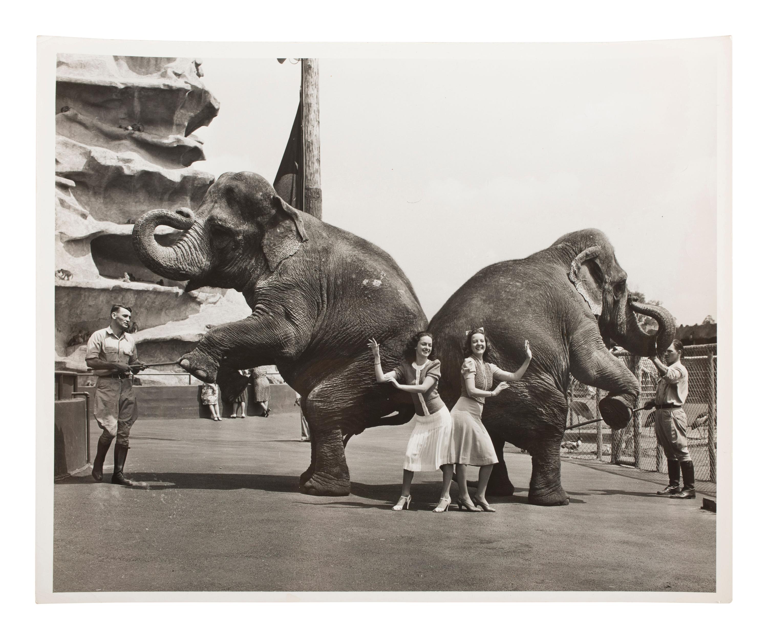 [PHOTOGRAPHY] 19 press photos documenting the 1940 NY World's Fair with additional prints of the era