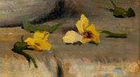 Watering the Pansies