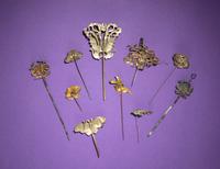 Ten Kingfisher Feather Hairpins