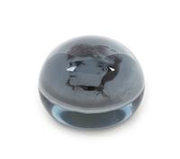 An Antique Photo Paperweight Diameter 3 inches