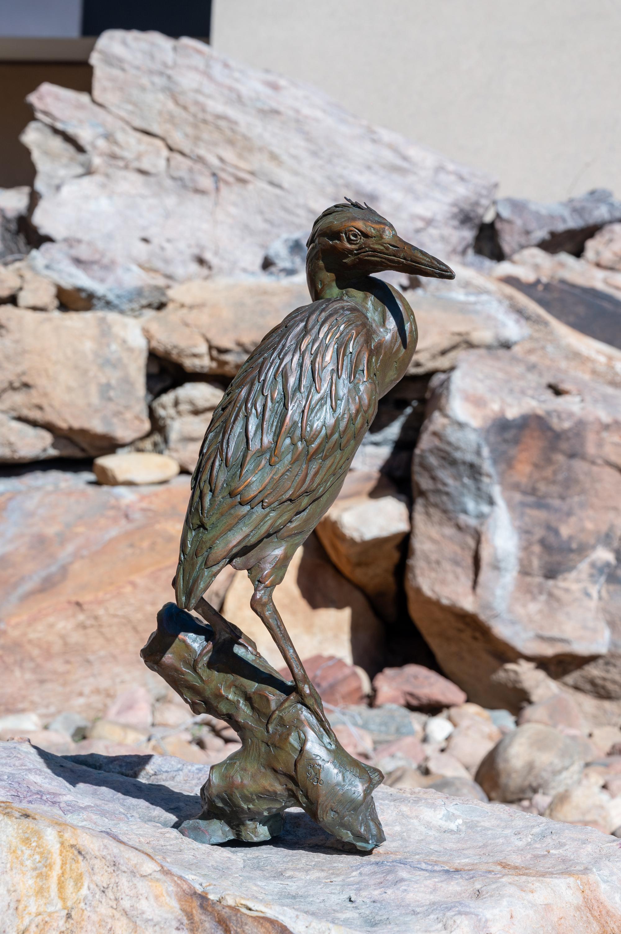Green Heron , edition 4/30