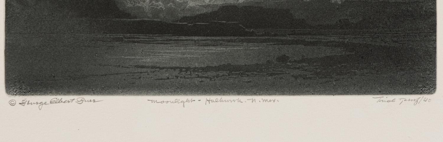 Two Works: Desert Night, Arizona and Moonlight, Holbrook, N.M.