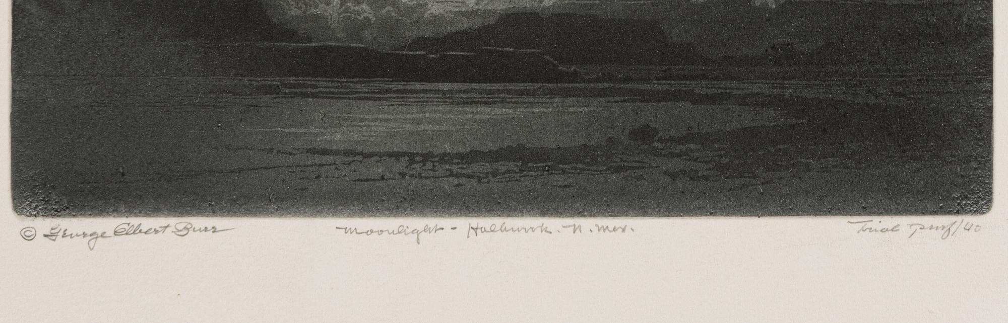 Two Works: Desert Night, Arizona and Moonlight, Holbrook, N.M.