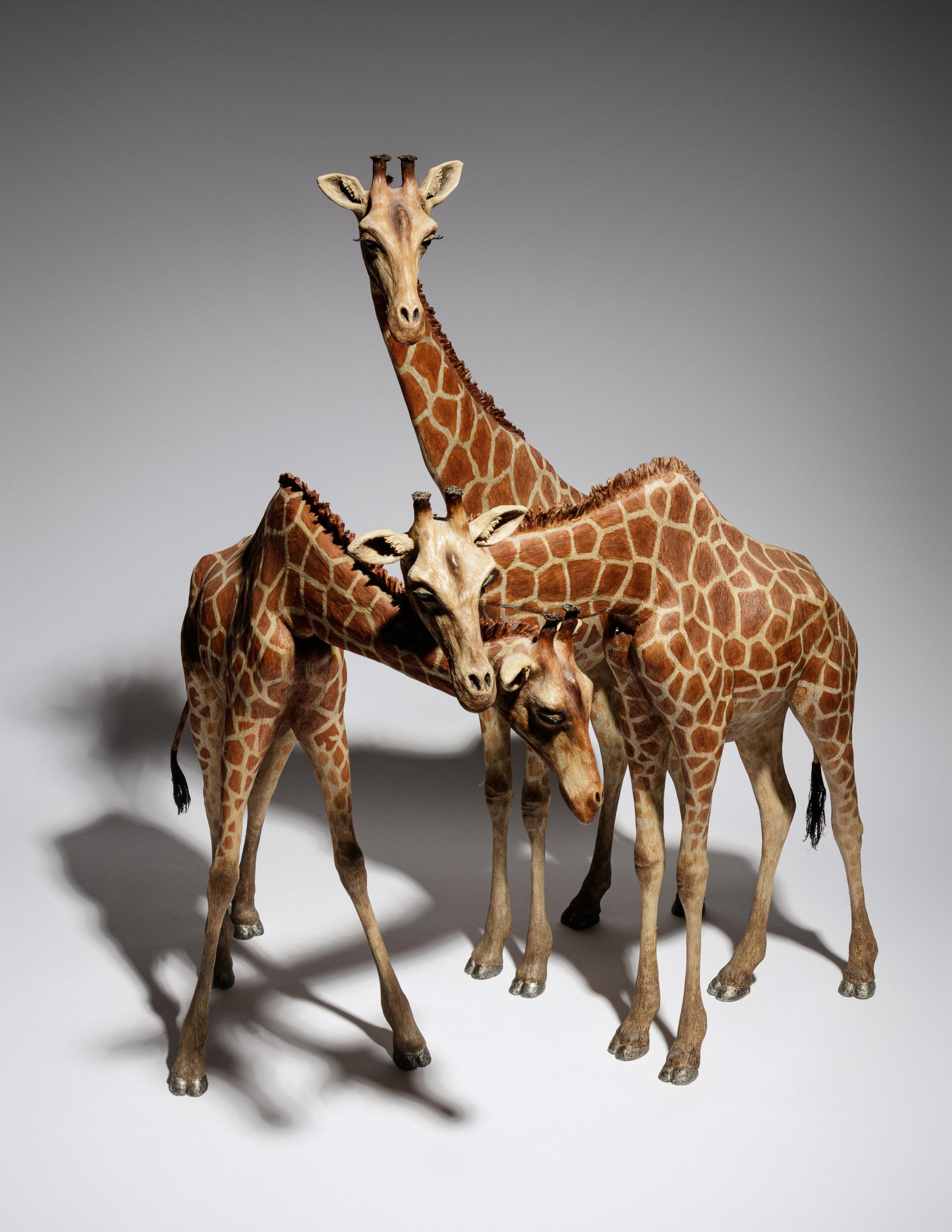 Untitled (Three Giraffes)