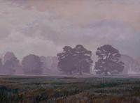 Foggy Meadow