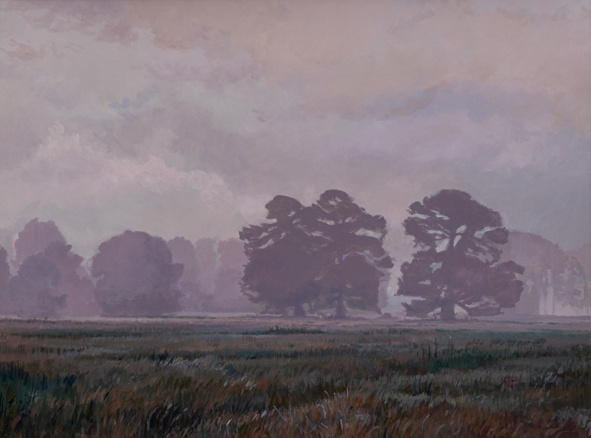 Foggy Meadow