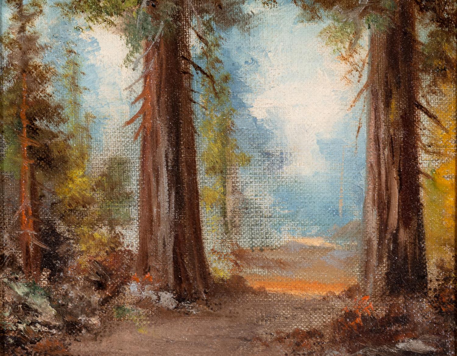 Forest Path