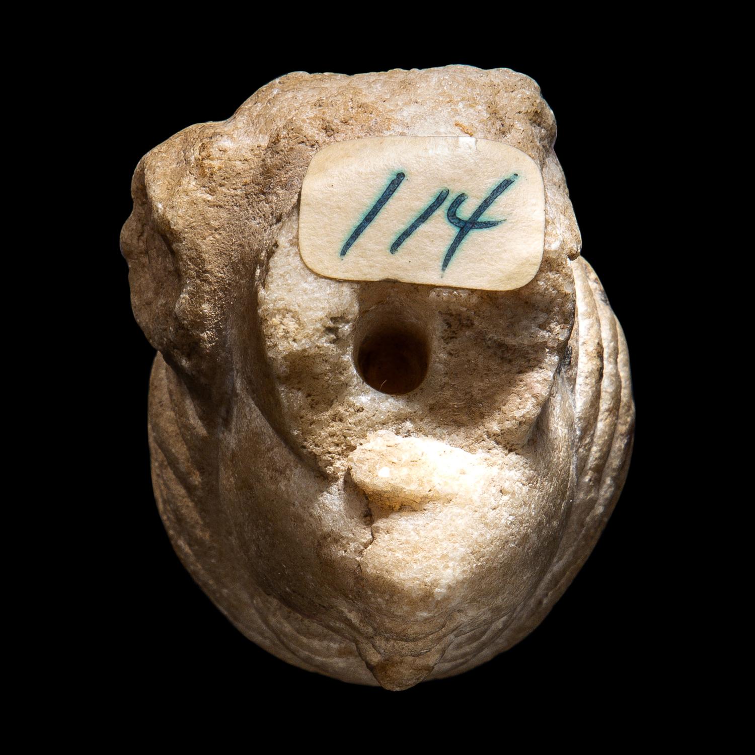 A Roman Marble Head of a Woman
