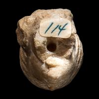 A Roman Marble Head of a Woman