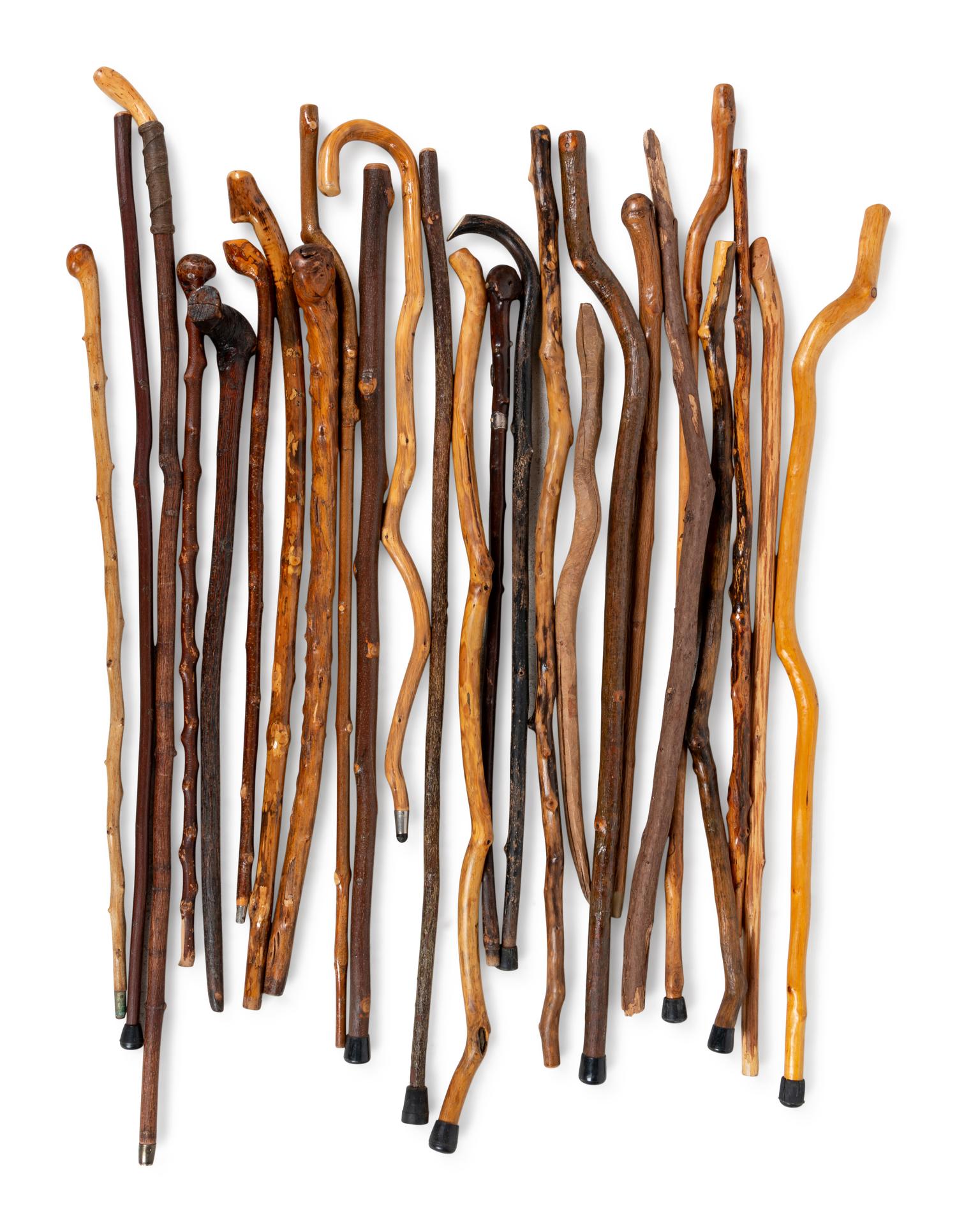 A Large Collection of Naturalistic Canes and Walking Sticks