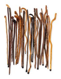 A Large Collection of Naturalistic Canes and Walking Sticks