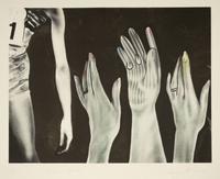 Flower Garden , 1972