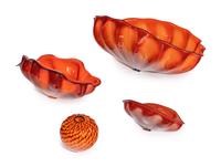 Four-piece set of Chinese Red