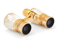 A Pair of Mother of Pearl Opera Glasses