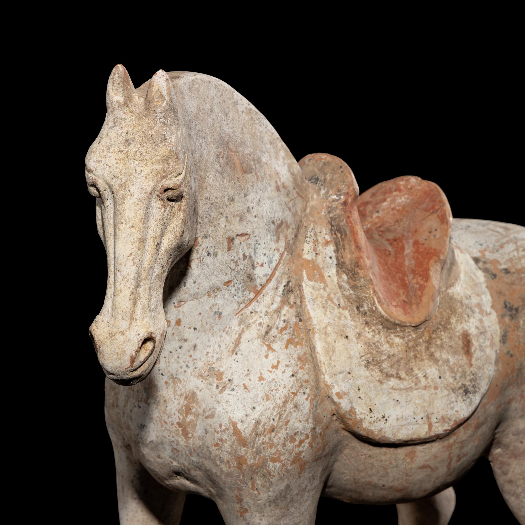 A Chinese Painted Pottery Horse, Tang Dynasty 唐 彩陶馬