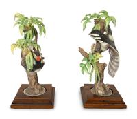 A Pair of Royal Worcester Dorothy Doughty Porcelain Birds