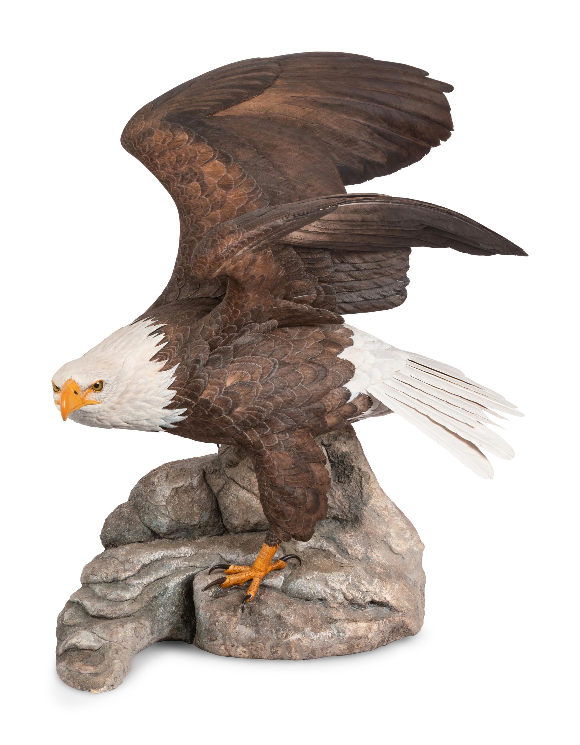Approaching Storm (Bald Eagle) , 1988