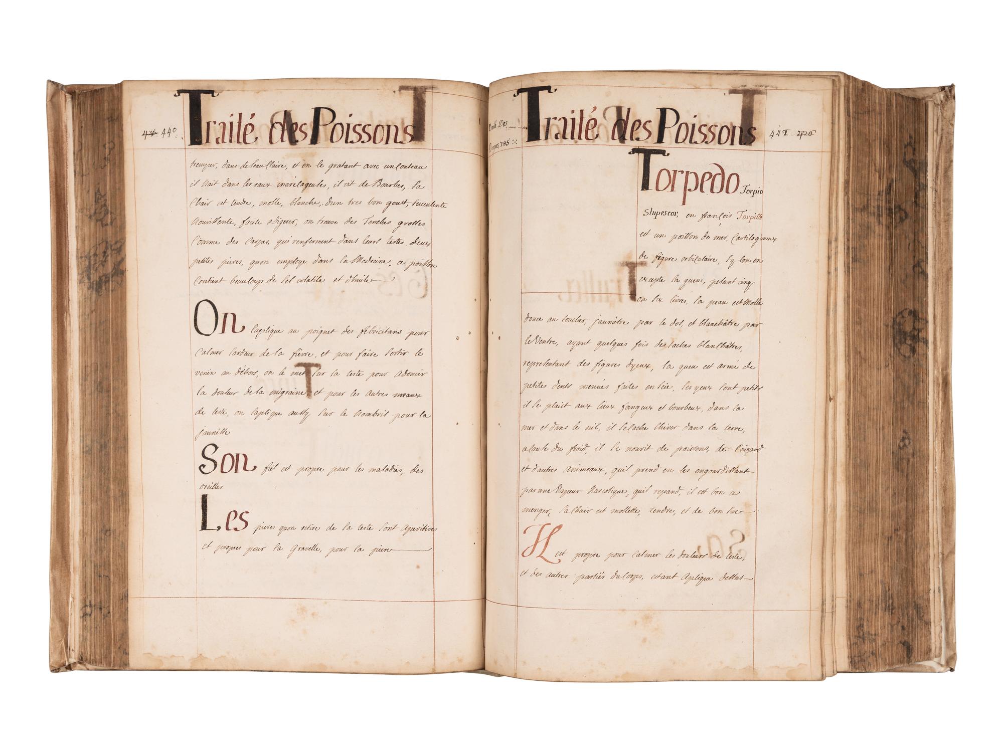 [REMEDIES -- MANUSCRIPT]. Spine title: "Traite des Animaux." France, ca 18th-century.