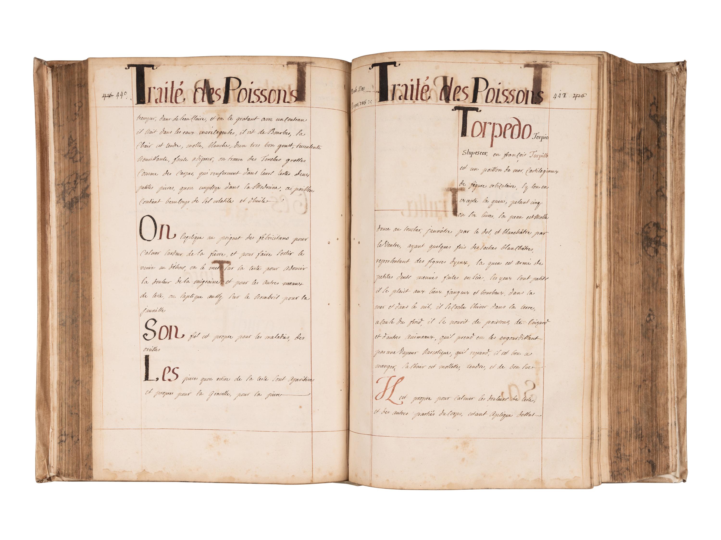 [REMEDIES -- MANUSCRIPT]. Spine title: "Traite des Animaux." France, ca 18th-century.