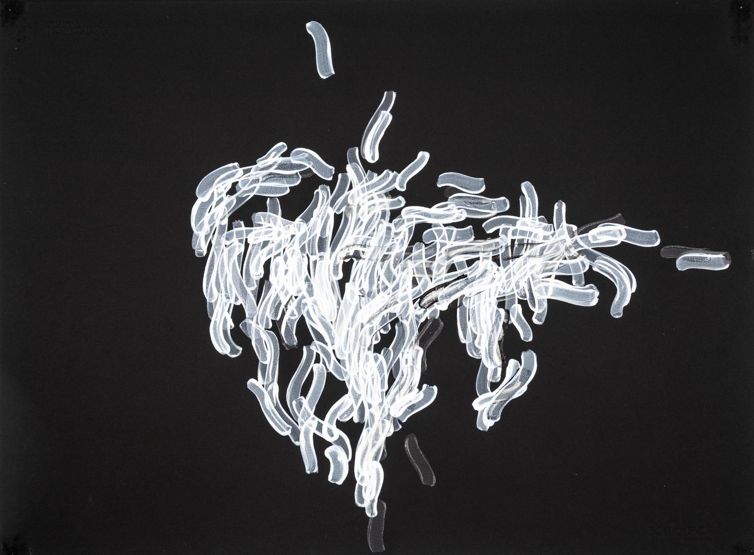 Hedge and Hedge (A Pair of Works), 2007
