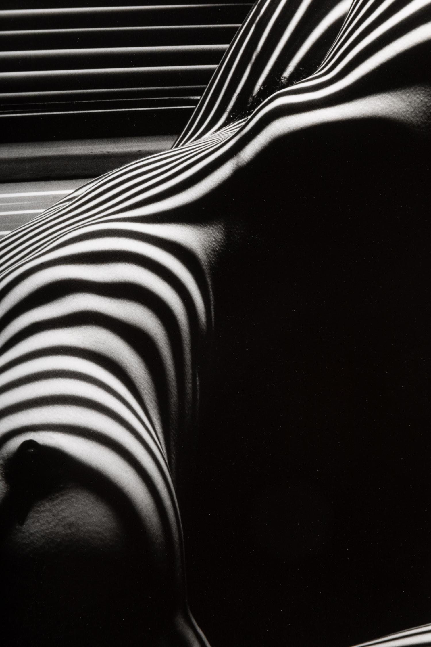 Lucien Clergue (1934-2014) Nu Zèbre, New York, 1997
