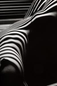 Lucien Clergue (1934-2014) Nu Zèbre, New York, 1997