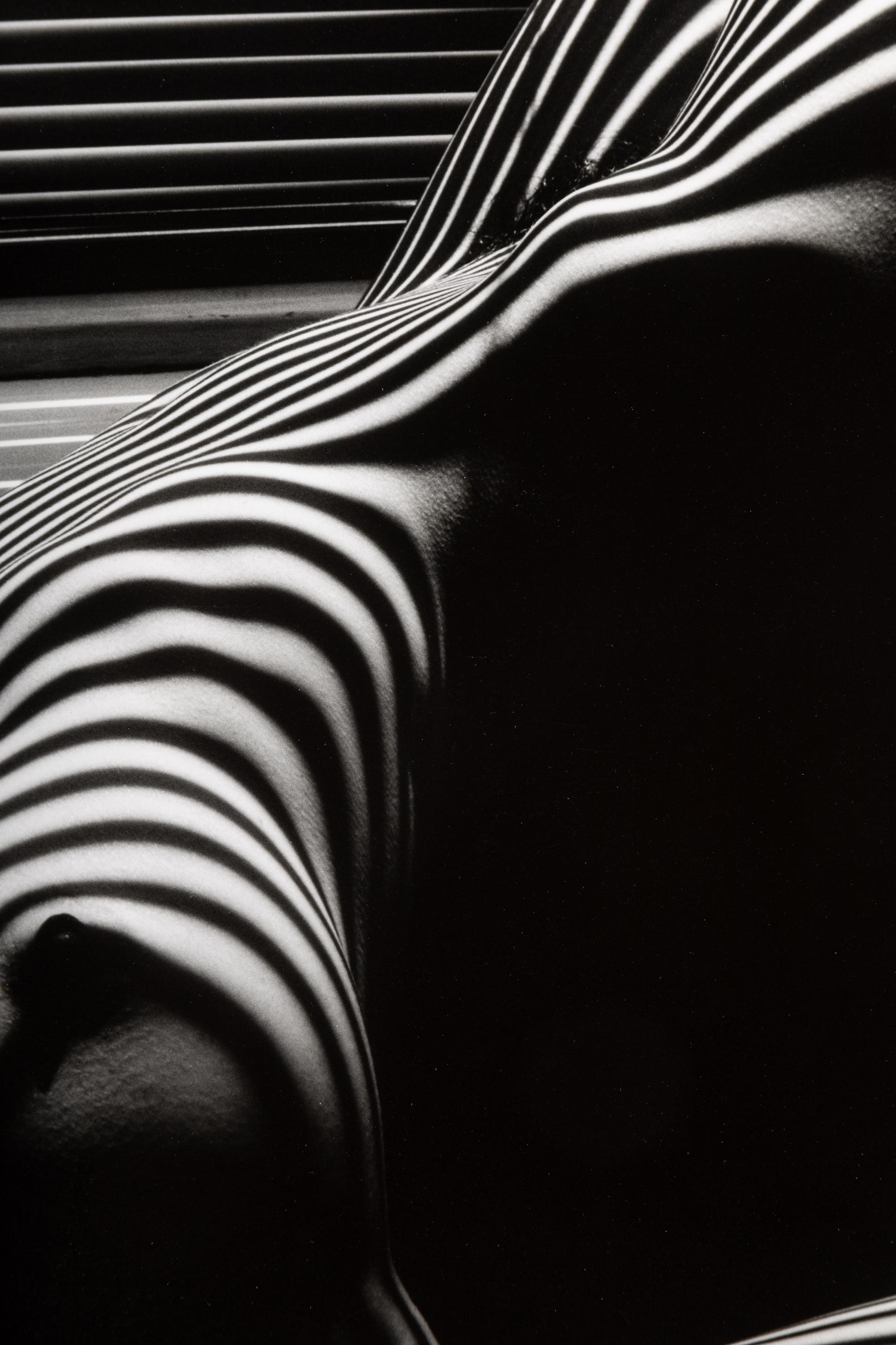 Lucien Clergue (1934-2014) Nu Zèbre, New York, 1997
