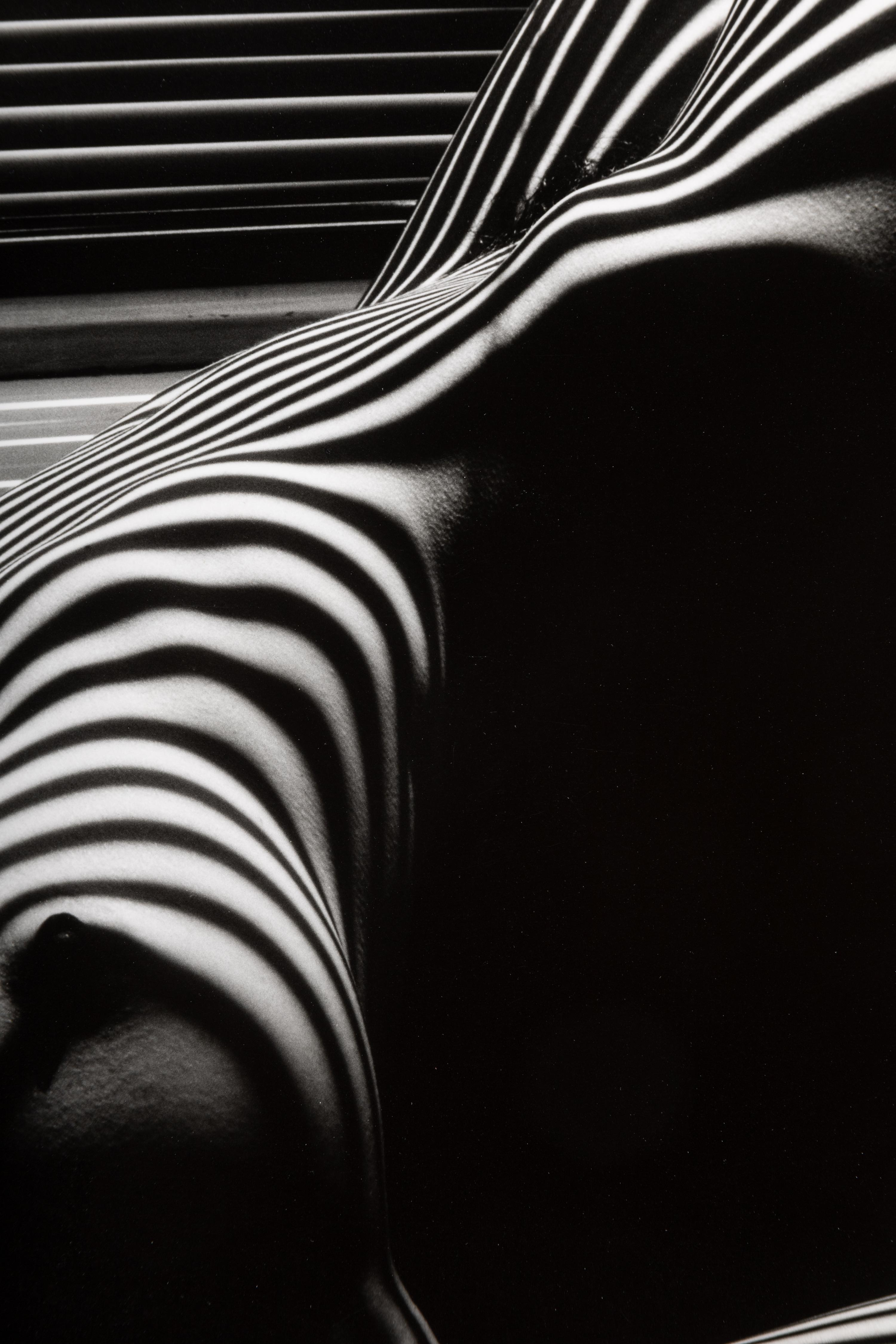 Lucien Clergue (1934-2014) Nu Zèbre, New York, 1997