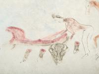 Painted Elk Hide
