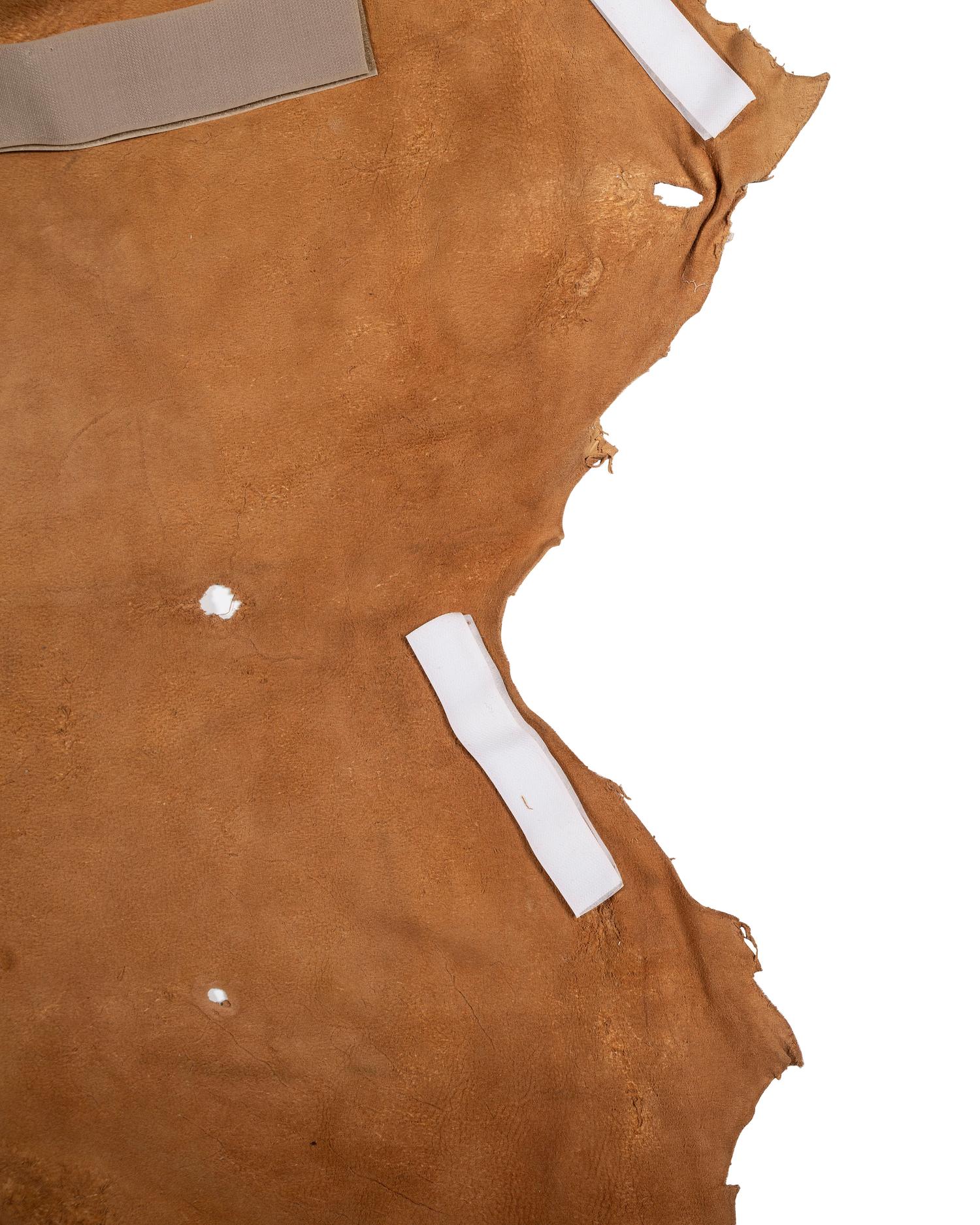 Painted Hide