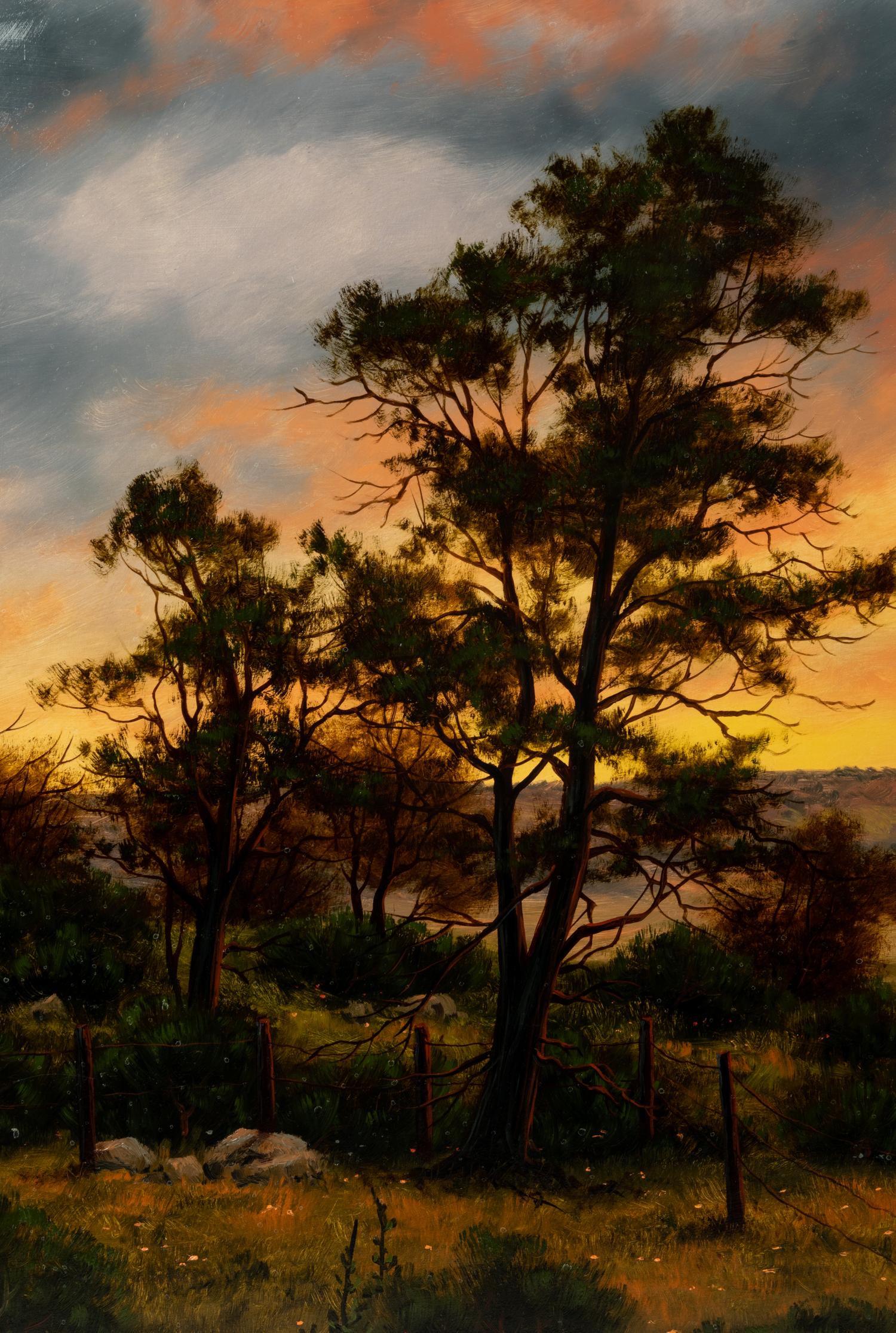 Sierra Foothills