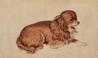 Anonymous, (QING DYNASTY), A Portrait of a Dog