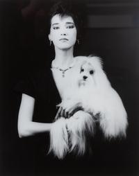 A Group of Ten Color Photographs depicting Various Dog Breeds Largest: 12 1/4 x 10 inches.
