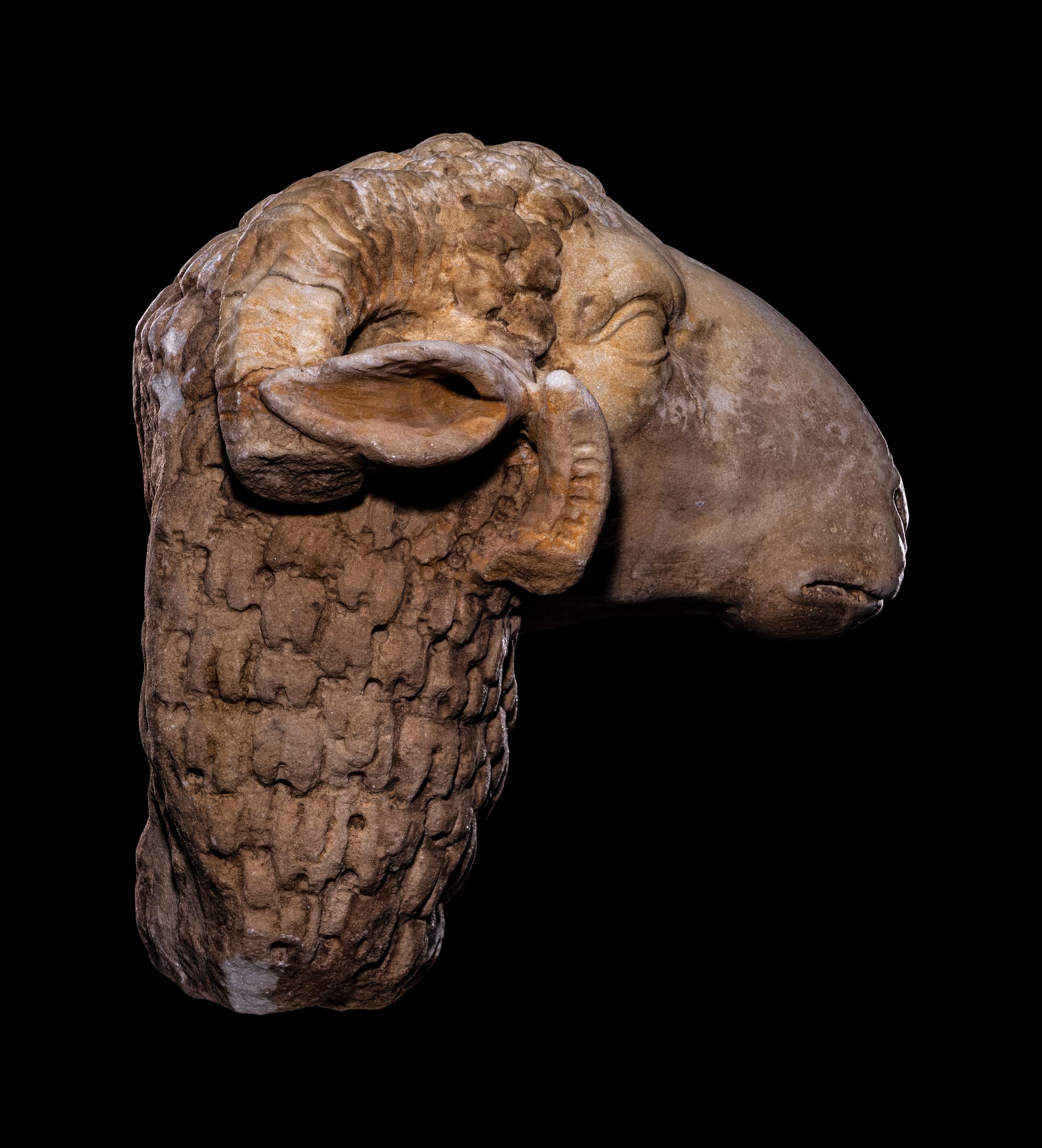 A Roman Marble Head of a Ram